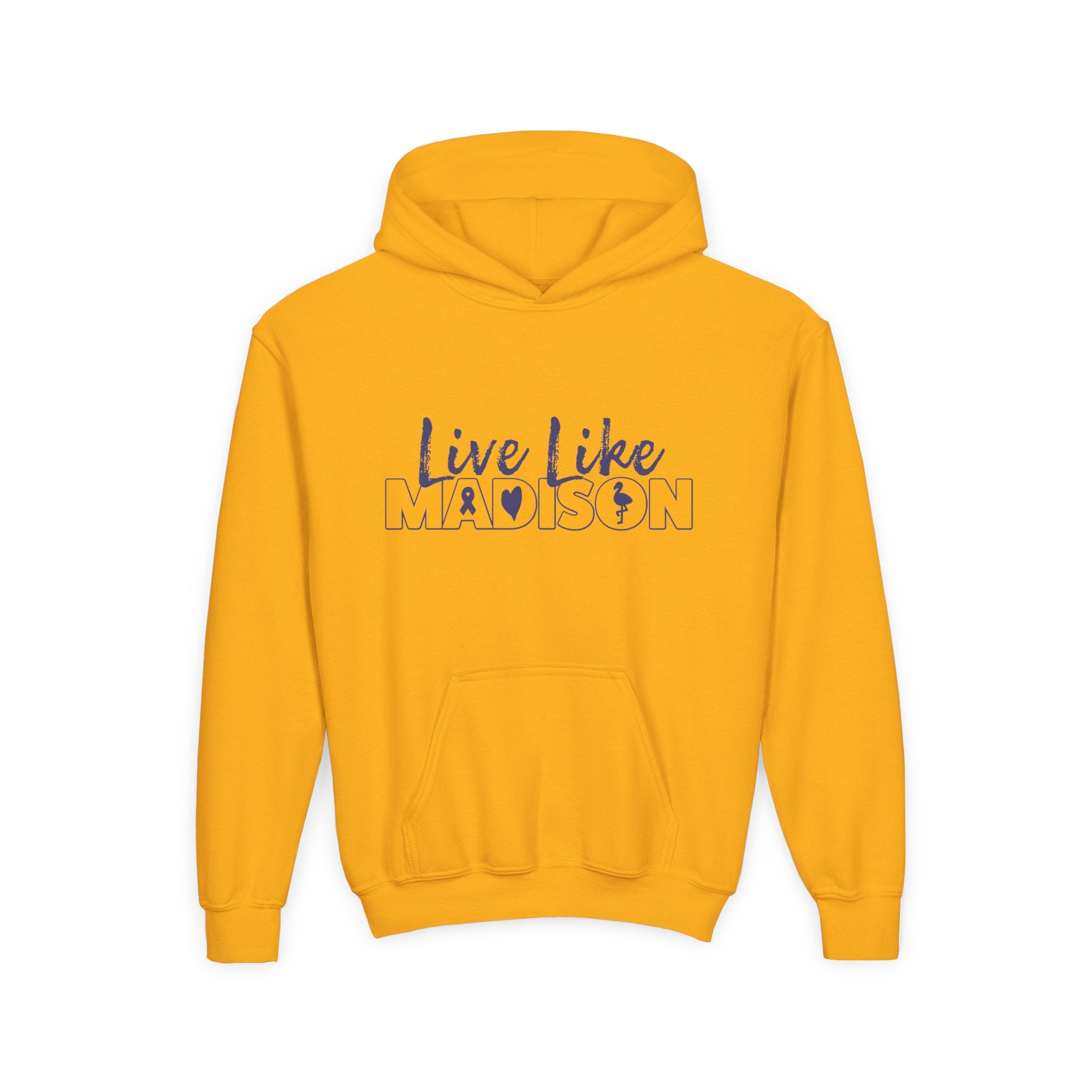YOUTH Live Like Madison NEW LOGO Hoodie Sweatshirt (multiple colors available)