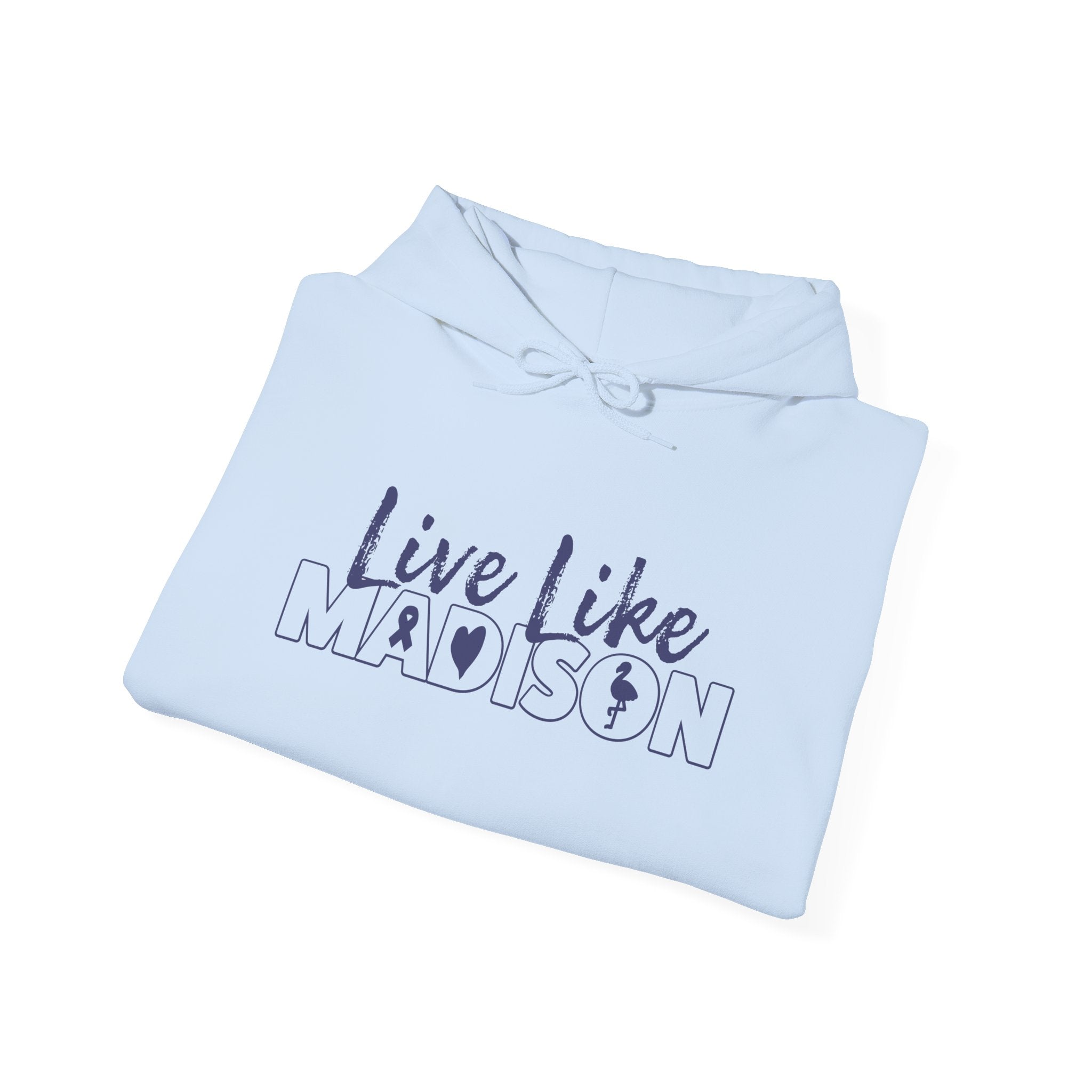 ADULT - Hoodie Sweatshirt (multiple colors available)